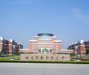 西北农林科技大学-MBA