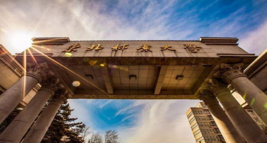 东北林业大学-MBA