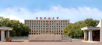 沈阳农业大学-MBA