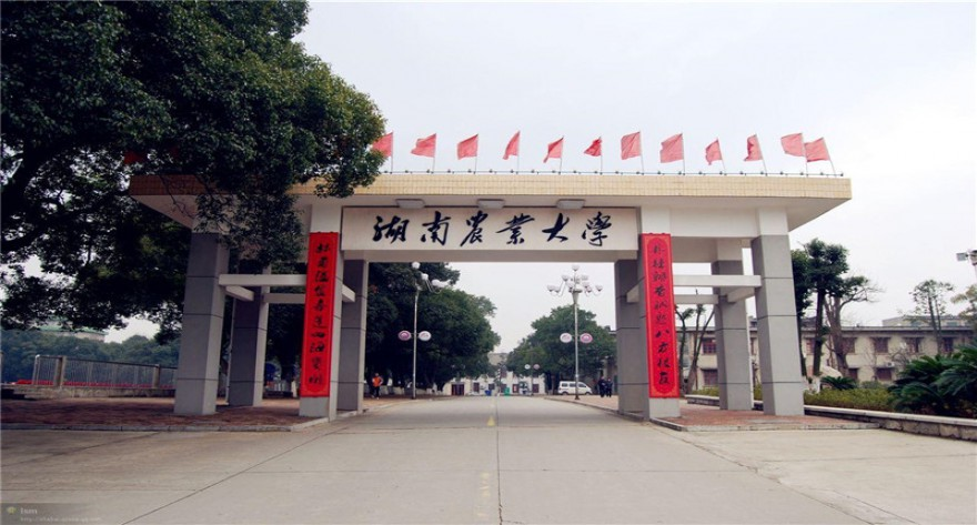 湖南农业大学-MBA