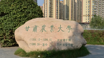 甘肃农业大学-MBA