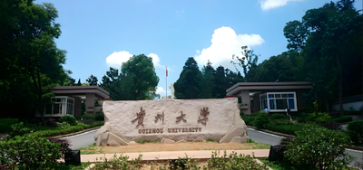 贵州大学-MBA