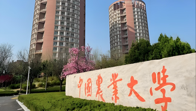 中国农业大学-MPA