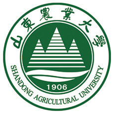 山东农业大学-MPA