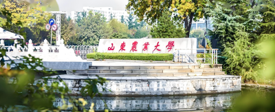 山东农业大学-MPA