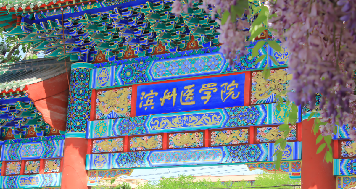 滨州医学院-MPA