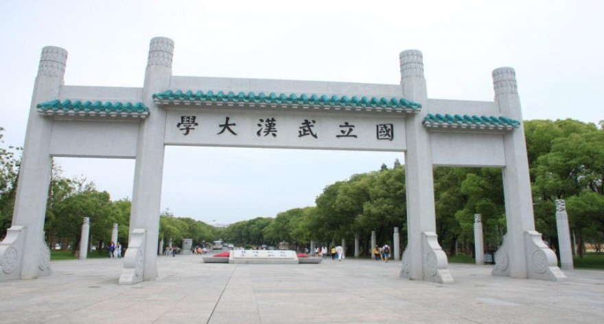 武汉大学-MPA