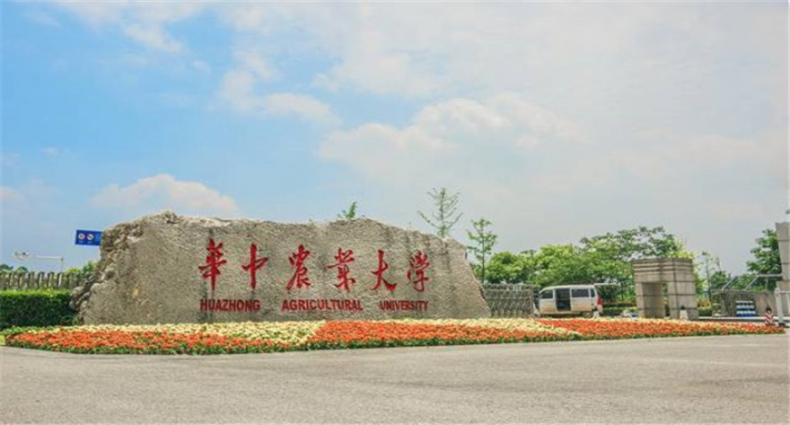 华中农业大学-MPA