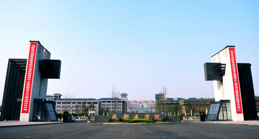 成都医学院-MPA