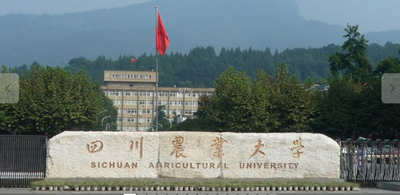 四川农业大学-MPA