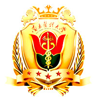 南方医科大学-MPA