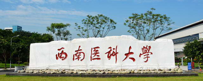 西南医科大学-MPA