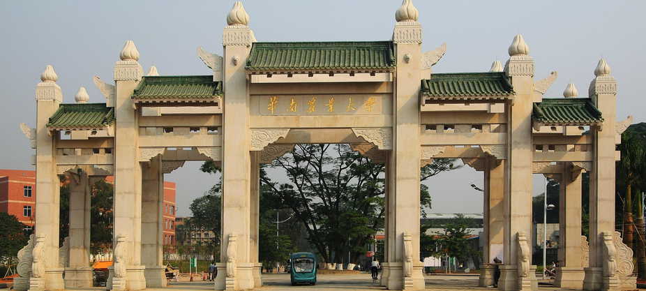 华南农业大学-MPA