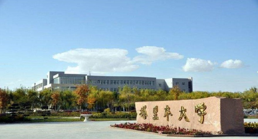 塔里木大学-MPACC