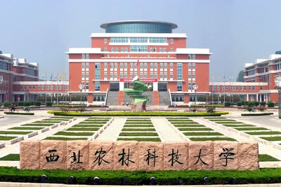 西北农林科技大学-MPA