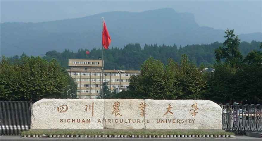 四川农业大学-MPACC