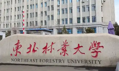 东北林业大学-MPACC