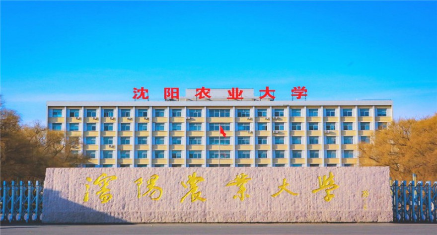 沈阳农业大学-MPACC