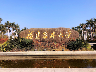 福建农林大学-MPACC