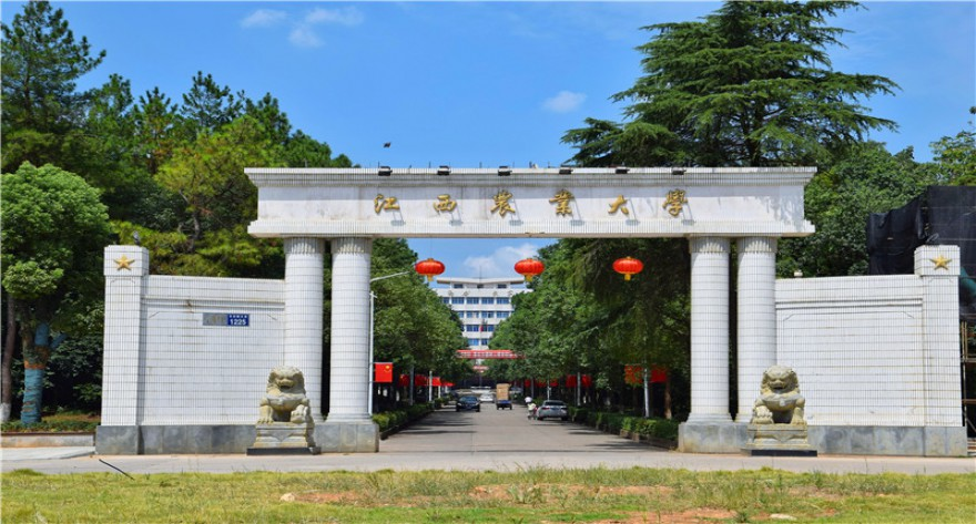 江西农业大学-MPACC