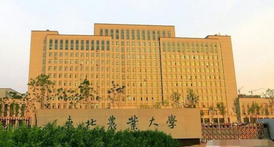 东北农业大学-MPACC