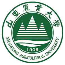 山东农业大学-MPACC