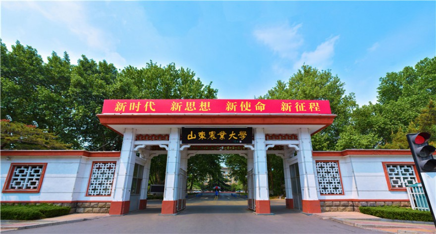 山东农业大学-MPACC
