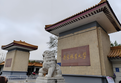 南京林业大学-MPACC