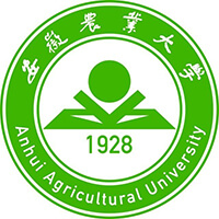安徽工业大学-MPACC