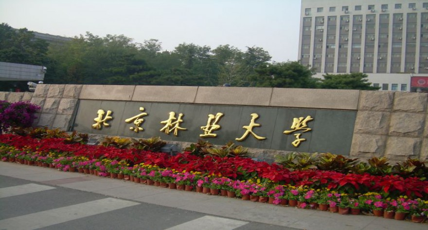 北京林业大学-MPACC