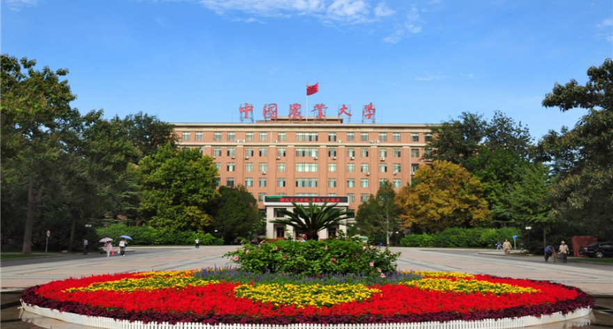中国农业大学-MPACC