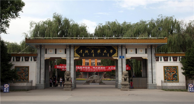 青海民族大学-MTA