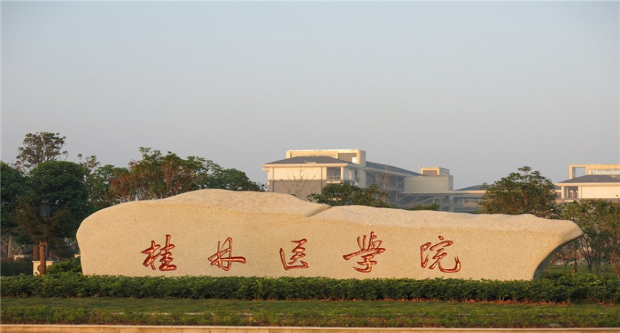 桂林医科大学-MLIS