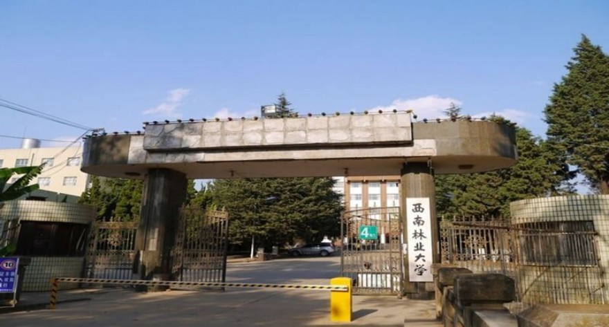 西南林业大学-MTA