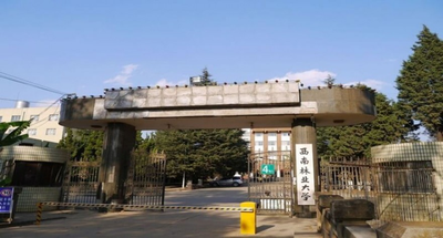 西南林业大学-MTA