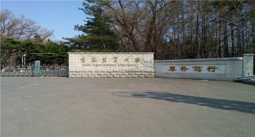 吉林农业大学-MTA