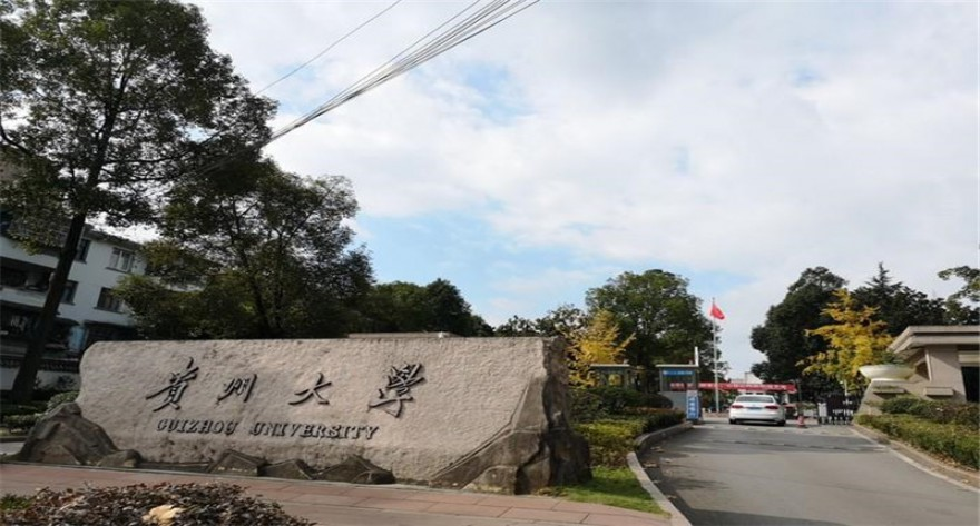 贵州大学-MEM