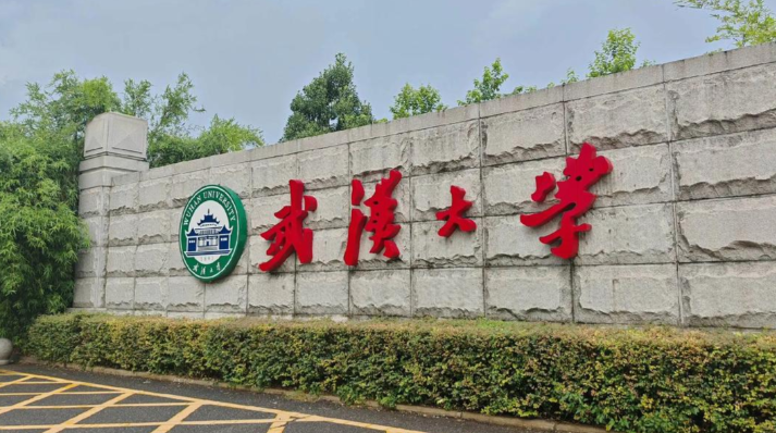 武汉大学-MLIS