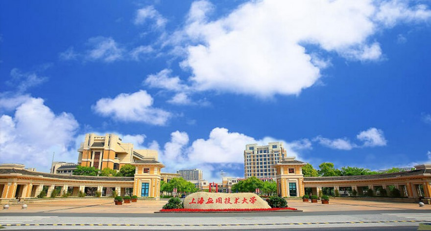 上海应用技术大学-MEM