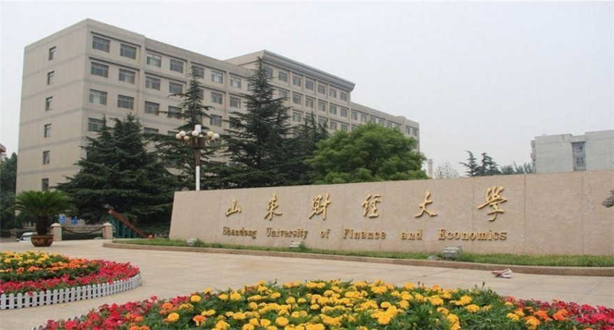 山东财经大学-MEM