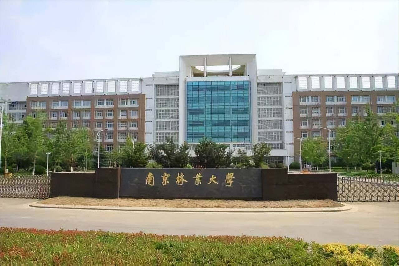 南京林业大学-MEM