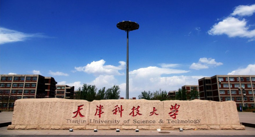 天津科技大学-MEM