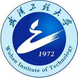 武汉工程大学-MEM