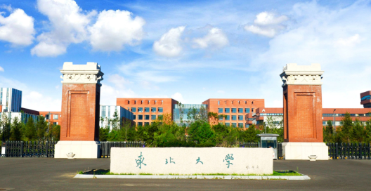 东北大学召开2025年暑期人才培养工作推进会第一阶段会议