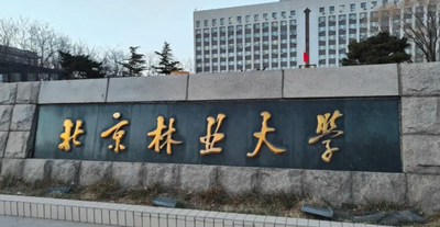 2025年北京林业大学MBA网报指南
