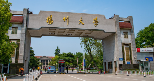 扬州大学2025年全国硕士研究生初试成绩发布通告