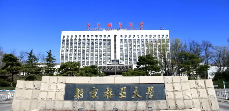 2025年全国硕士研究生招生考试北京林业大学报考点网上确认公告