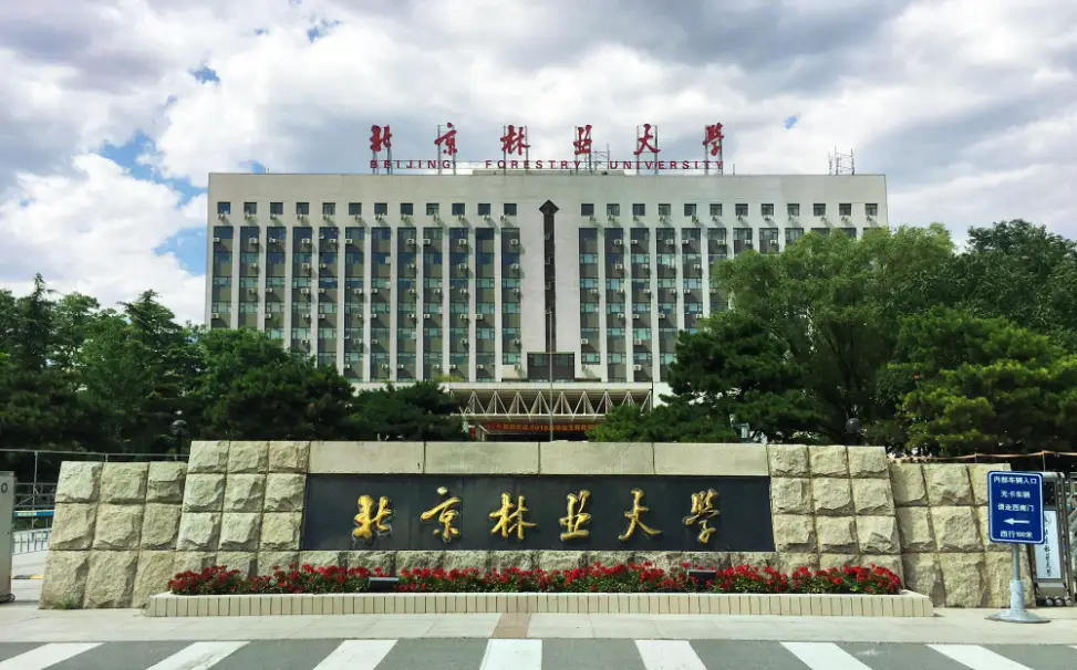 2025年北京林业大学工商管理硕士(MBA)招生复试录取工作方案