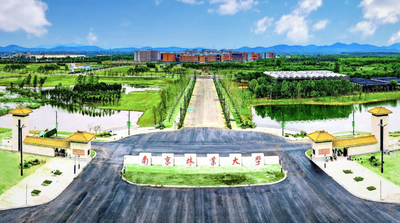 【调剂通知】4月8日零点南林MBA调剂服务系统开通