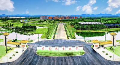 2025年全国硕士研究生招生考试南京林业大学报考点网上确认须知及流程